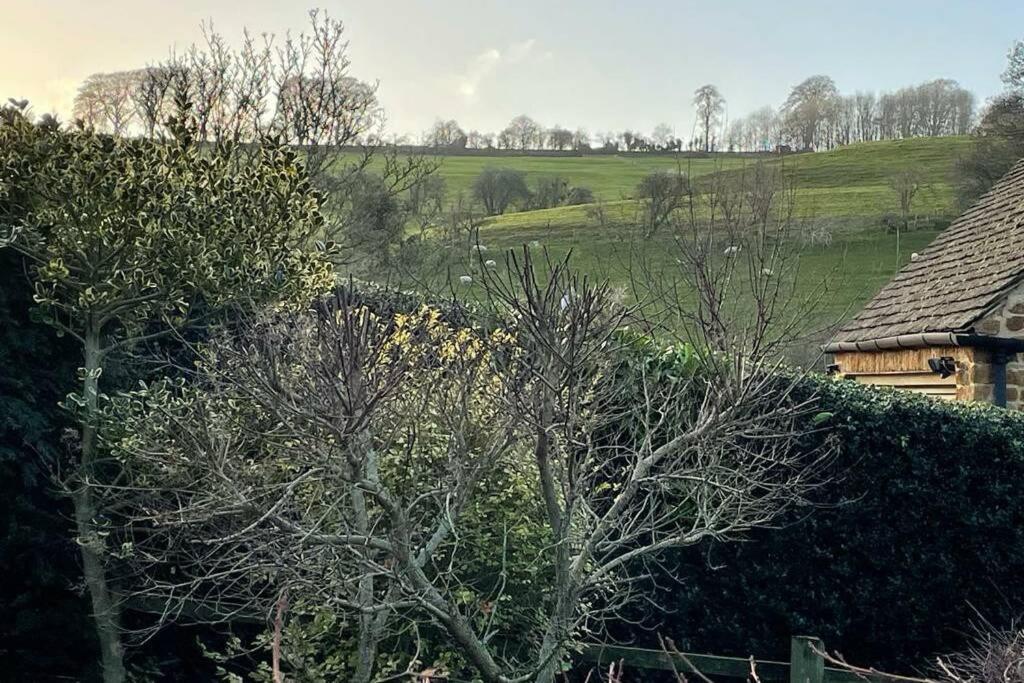 Cotswolds Cottage Ilmington With Wood Burning Stove & Bbq - Pet Friendly Chipping Campden Extérieur photo